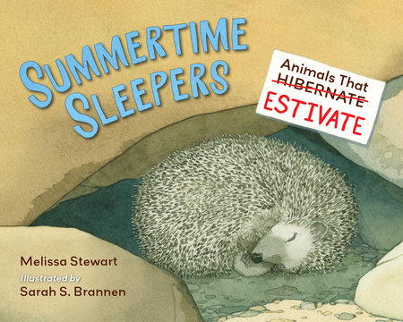 Summertime Sleepers by Melissa Stewart