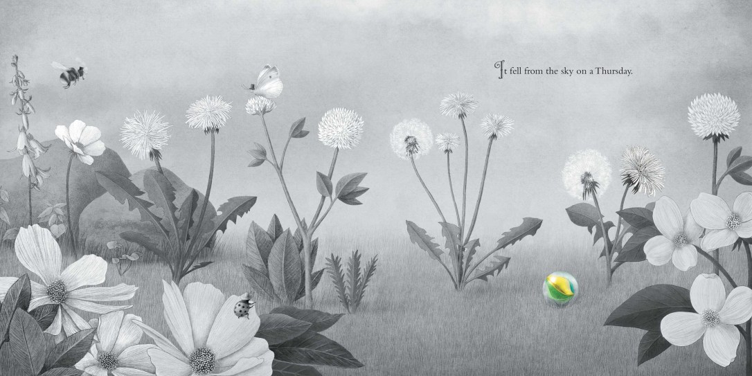 It Fell from the Sky | Book by Terry Fan, Eric Fan | Official Publisher  Page | Simon & Schuster
