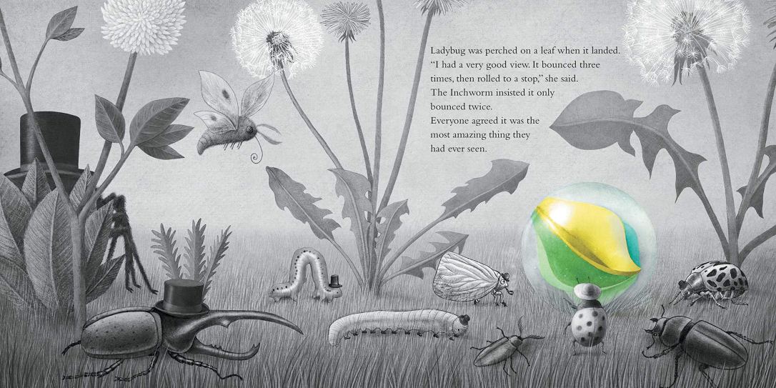 It Fell from the Sky: Fan, Terry, Fan, Eric, Fan, Terry, Fan, Eric:  9781534457621: Amazon.com: Books